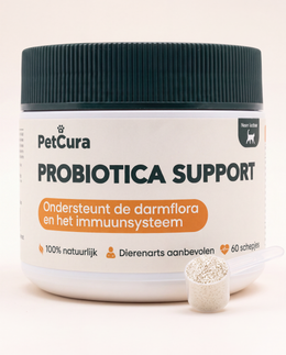 Probiotica Katten
