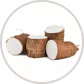 Yucca schidigera