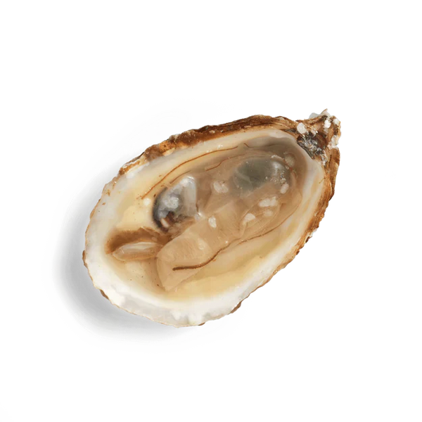 Glucosamine