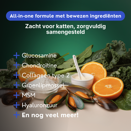 Gewrichtssnacks voor Katten