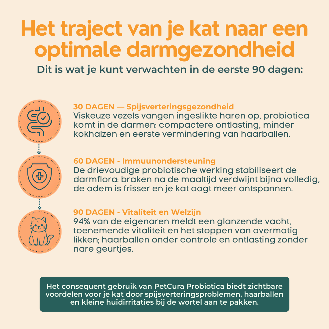 Probiotica voor Katten