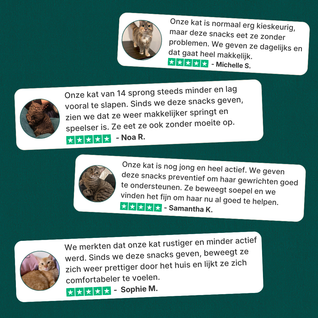 Gewrichtssnacks voor Katten