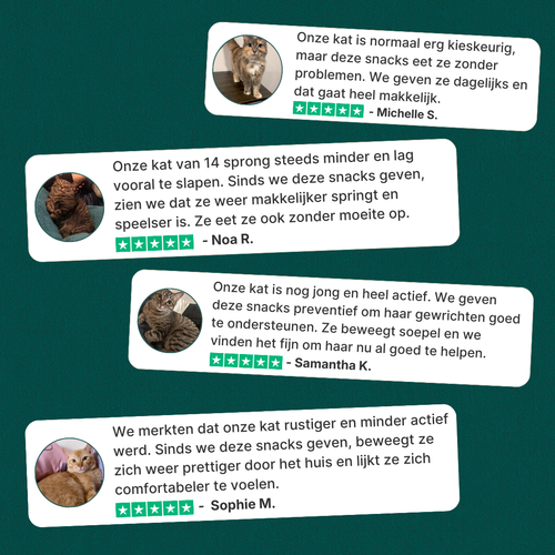 Gewrichtssnacks voor Katten