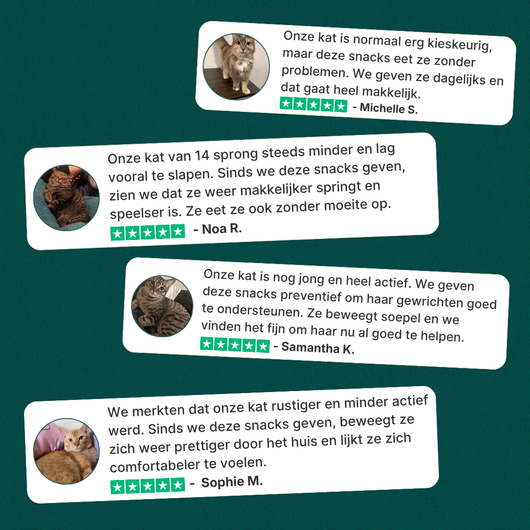 Gewrichtssnacks voor Katten
