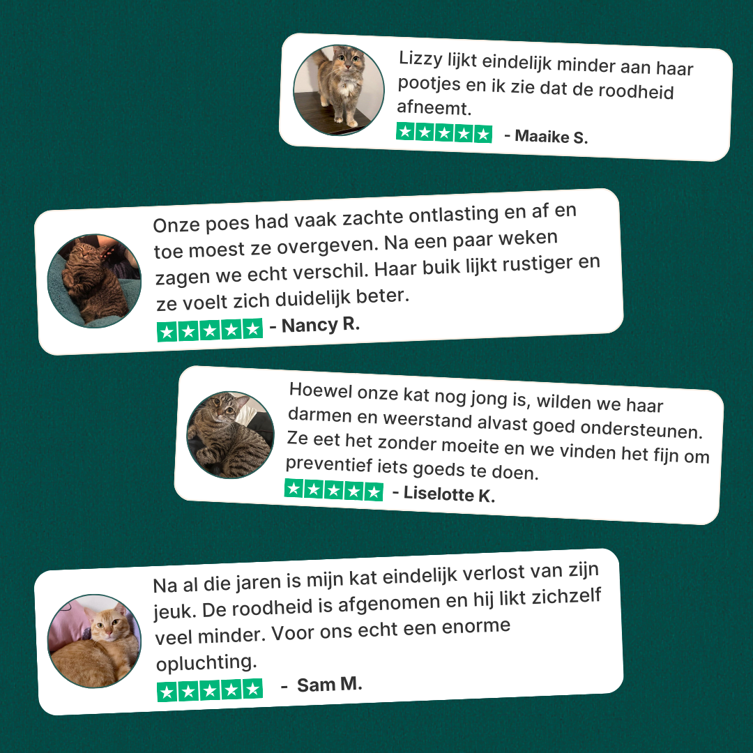 Probiotica voor Katten