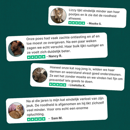 Probiotica voor Katten