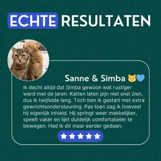 Gewrichtssnacks voor Katten