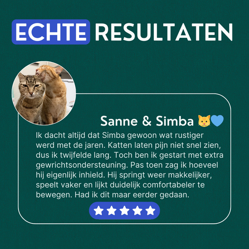 Gewrichtssnacks voor Katten