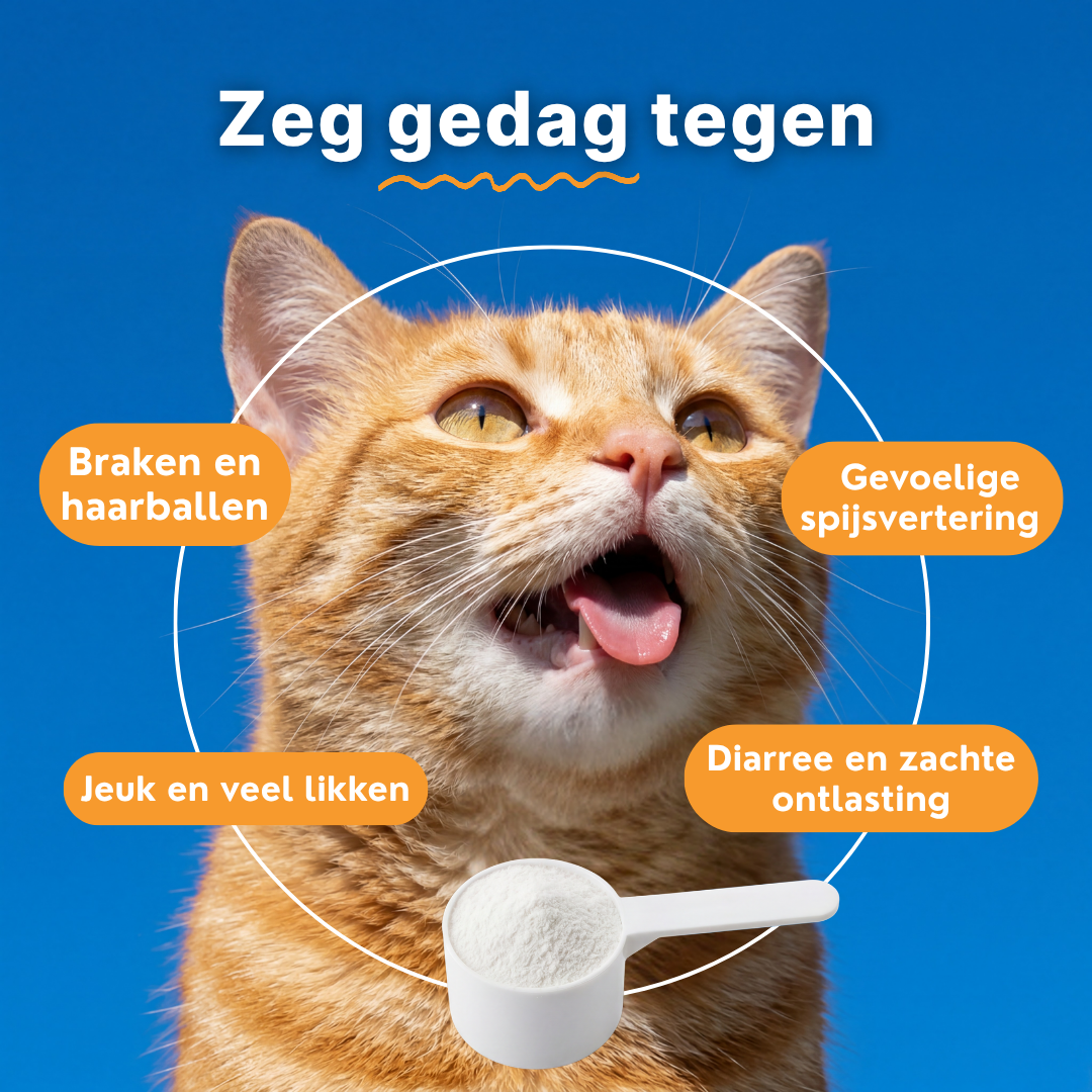 Probiotica voor Katten