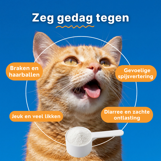 Probiotica voor Katten