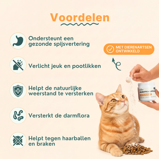 Probiotica voor Katten