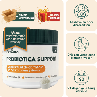 Probiotica voor Katten