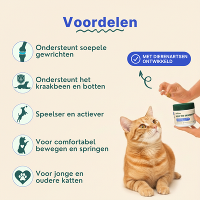 Gewrichtssnacks voor Katten