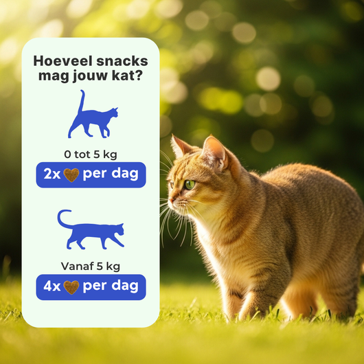 Gewrichtssnacks voor Katten