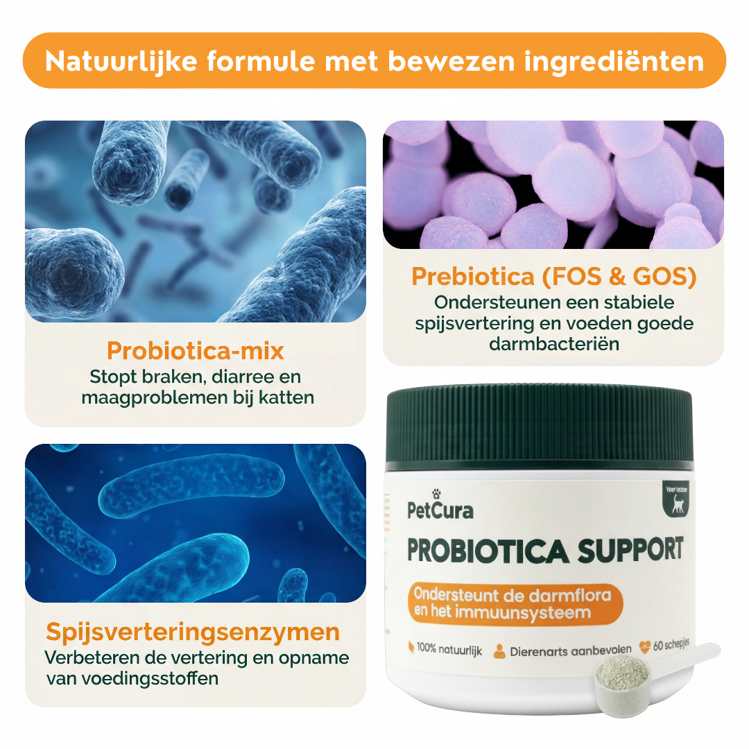 Probiotica voor Katten