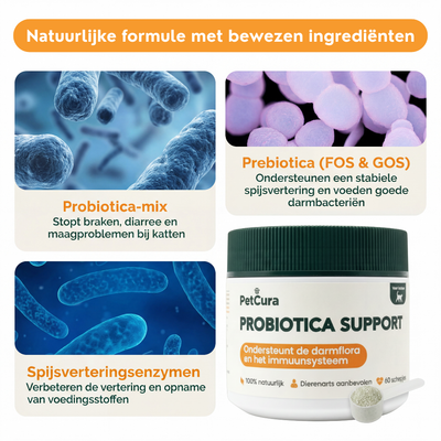 Probiotica voor Katten