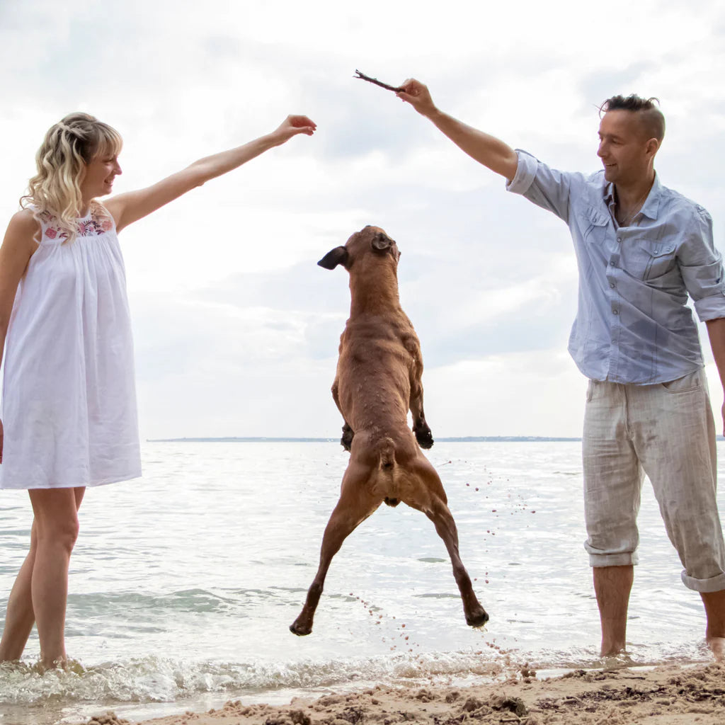 Hip-hip-hoera – eindelijk weer