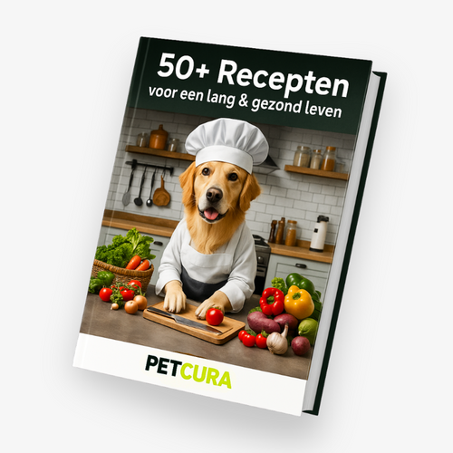CADEAU: E-book: 58 eenvoudige en gezonde recepten
