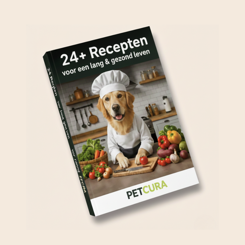 E-book: 24 eenvoudige en gezonde recepten