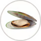 Groenlipmossel