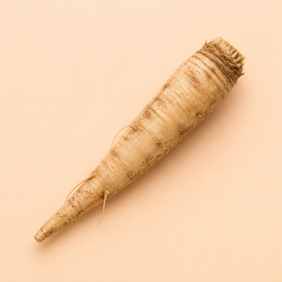 Cichoreiwortel