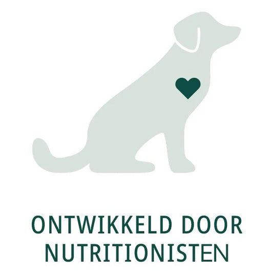 10+ jaar ervaring in